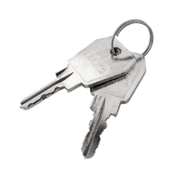 Chave Carver 25040 (2 unidades)